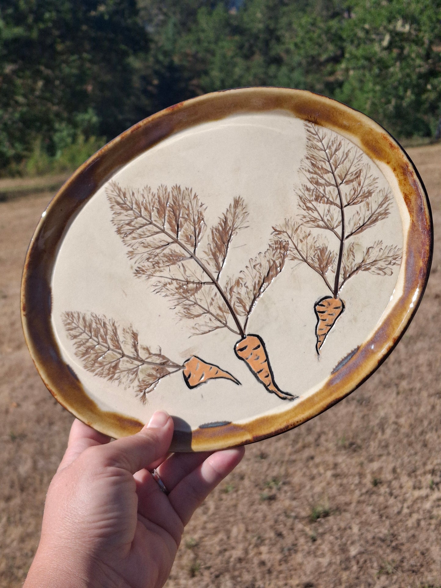 LIC Medium Carrot Platters