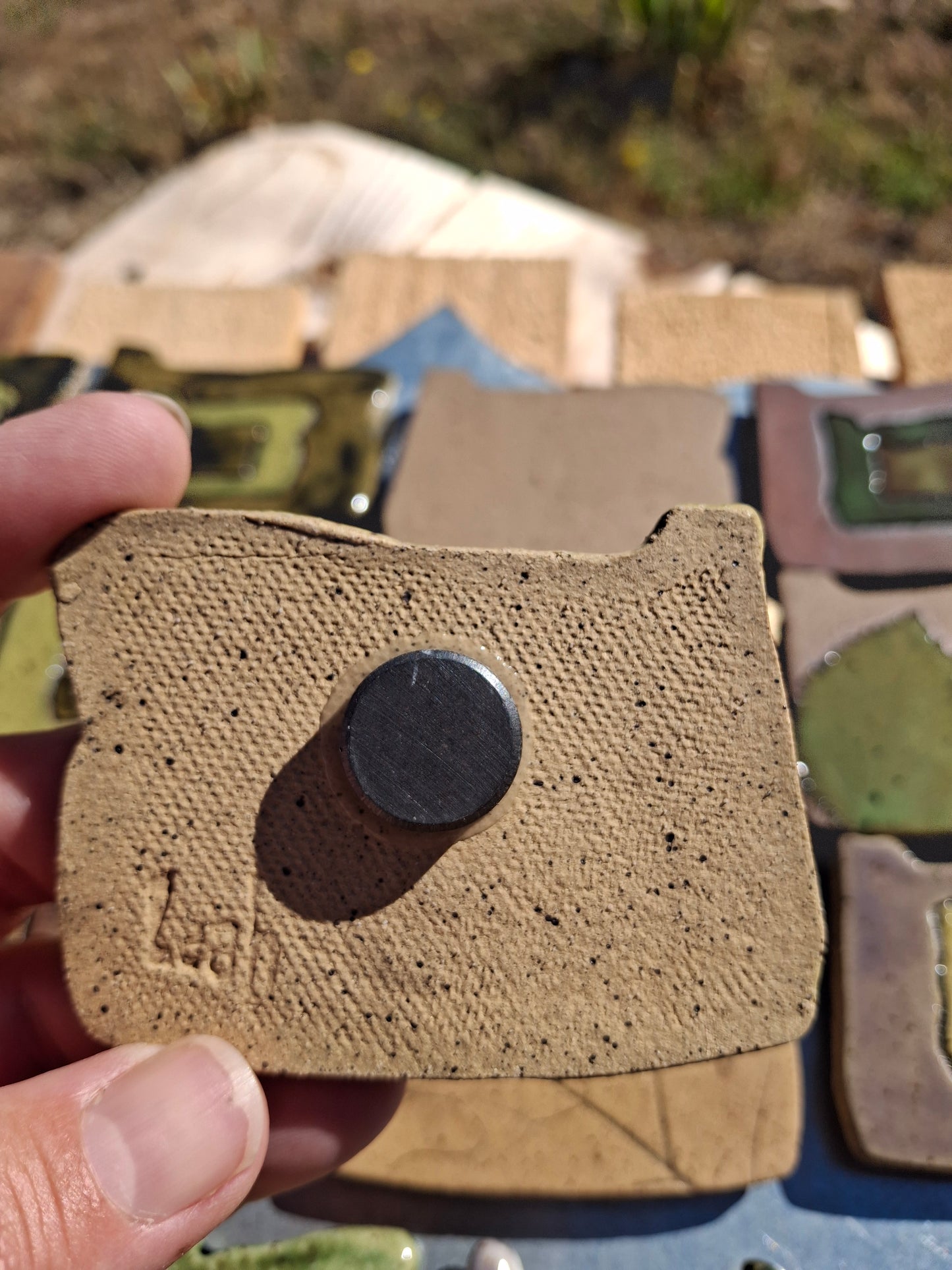 LIC 3" Oregon Mystery Magnet