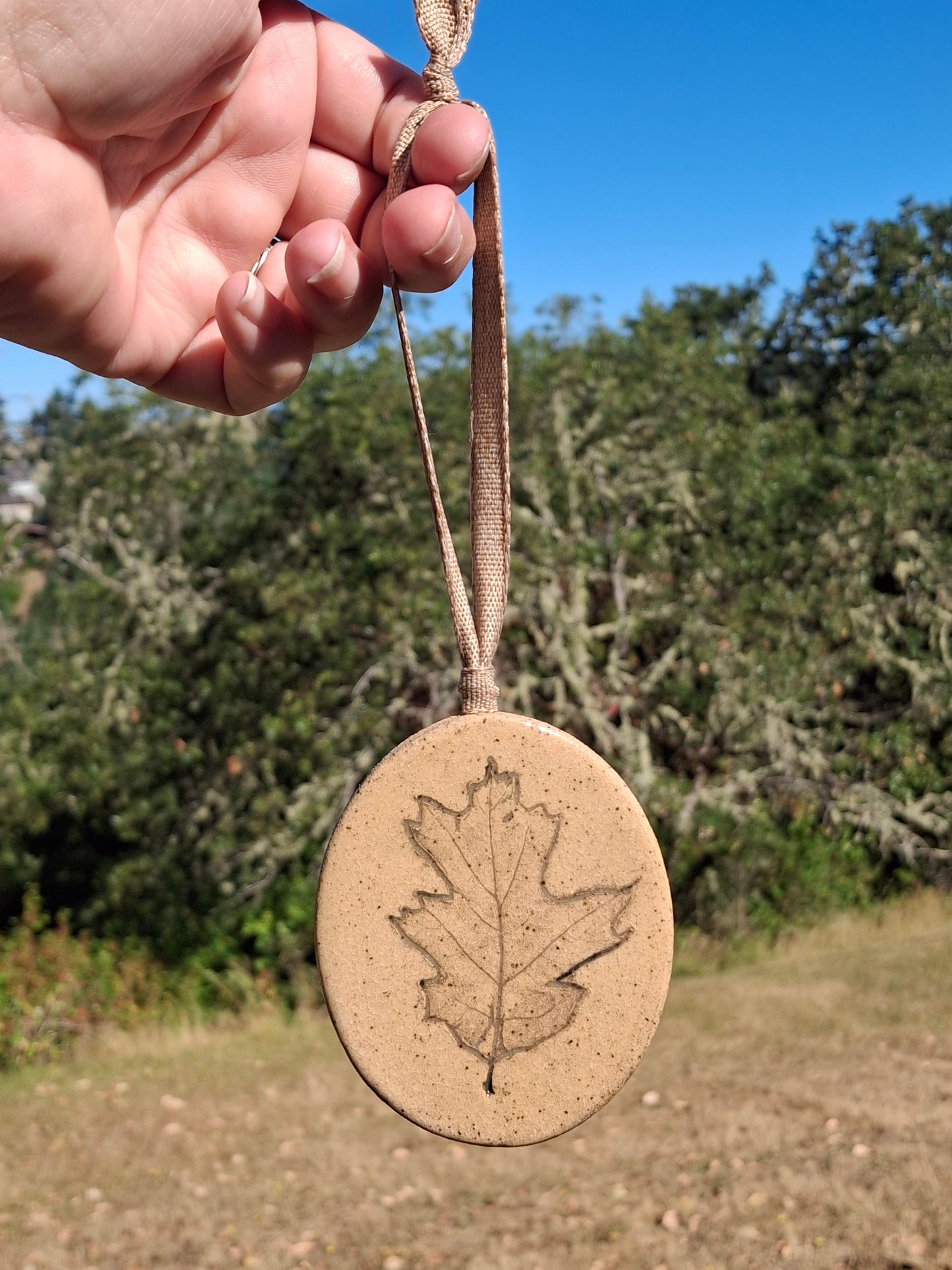 LIC Small Fig Leaf or Oak Leaf Wall Hang