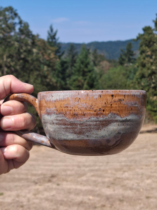 LIC 14 oz Coral Fog Mug